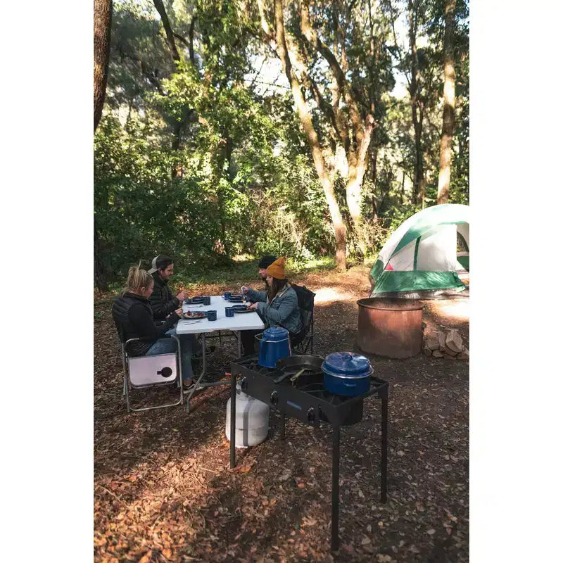 Table de camping pliante
